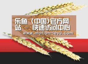 乐鱼 (中国)官方网站 - 快速访问中心