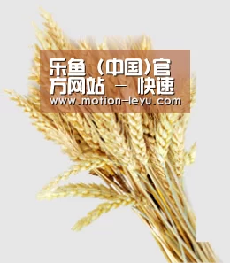 乐鱼 (中国)官方网站 - 快速访问中心