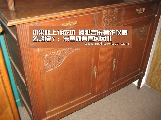 水果姐上诉成功 侵犯音乐著作权怎么赔偿?:乐鱼体育官网网址(图3) 乐鱼体育官网网址