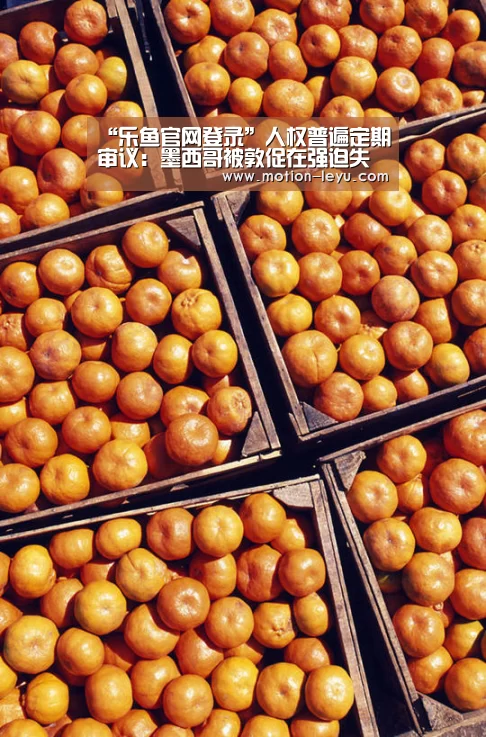 “乐鱼官网登录”人权普遍定期审议:墨西哥被敦促在强迫失踪、妇女权利和新闻自由方面继续取得进展(图1) leyu体育官网