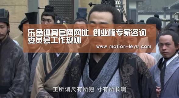 乐鱼体育官网网址_创业板专家咨询委员会工作规则(图3) 乐鱼体育