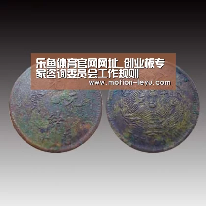 乐鱼体育官网网址_创业板专家咨询委员会工作规则(图1) leyu体育官网