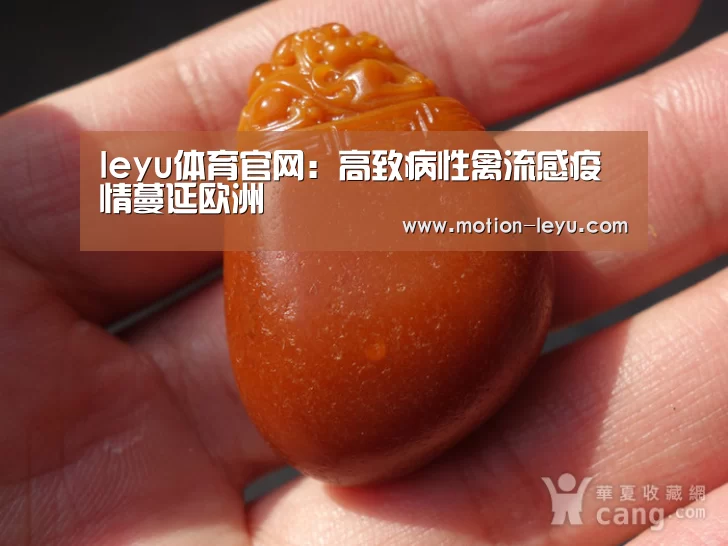 leyu体育官网:高致病性禽流感疫情蔓延欧洲(图1) leyu体育官网