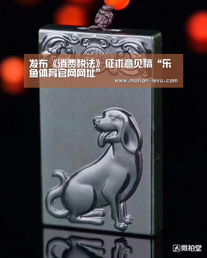 发布《消费税法》征求意见稿“乐鱼体育官网网址”(图2) leyu体育官网