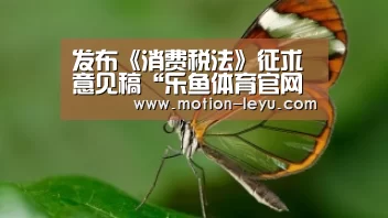 发布《消费税法》征求意见稿“乐鱼体育官网网址”(图3) 乐鱼体育