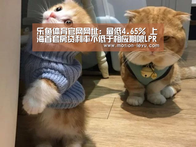 乐鱼官网登录