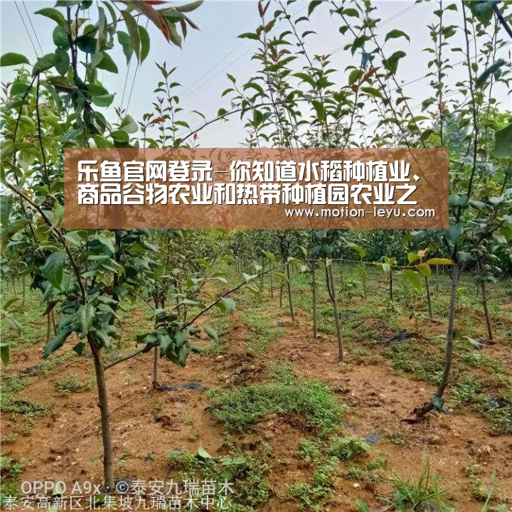 leyu体育官网