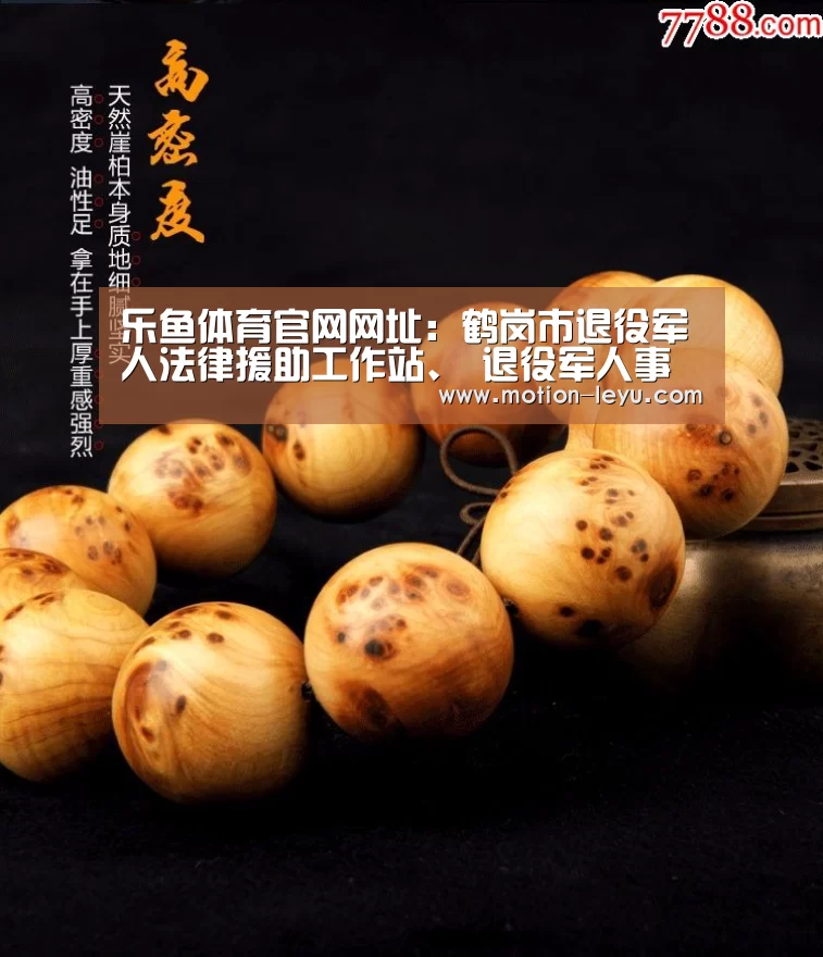 乐鱼体育官网网址:鹤岗市退役军人法律援助工作站、 退役军人事务人民调解委员会正式成立(图1) leyu体育官网