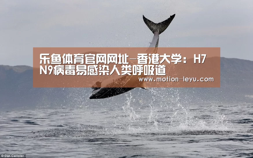 乐鱼体育官网网址-香港大学:H7N9病毒易感染人类呼吸道(图1) 乐鱼官网登录