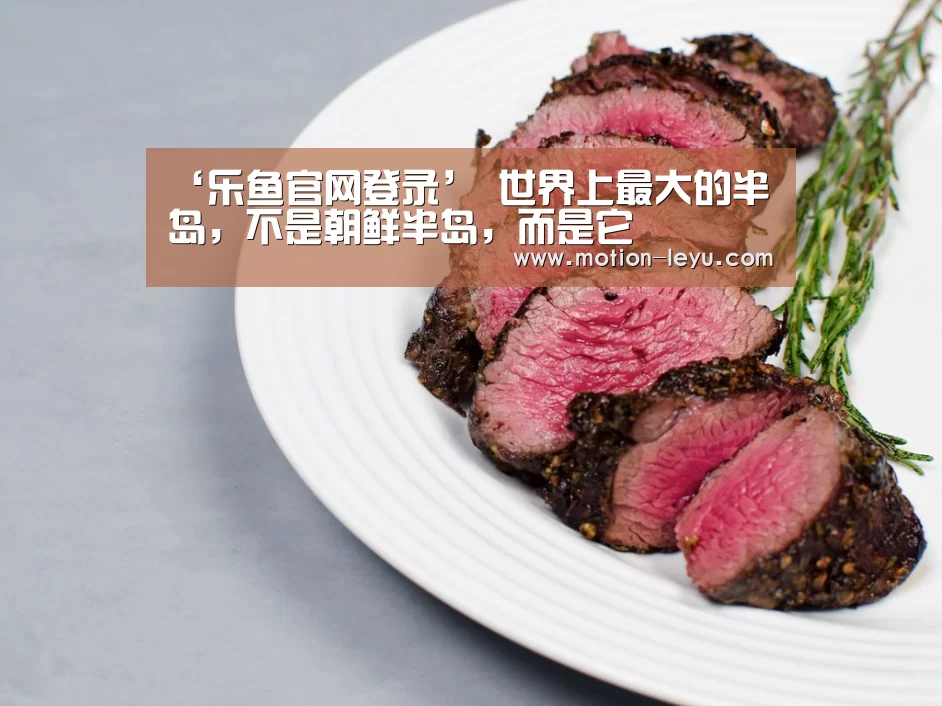 乐鱼官网登录