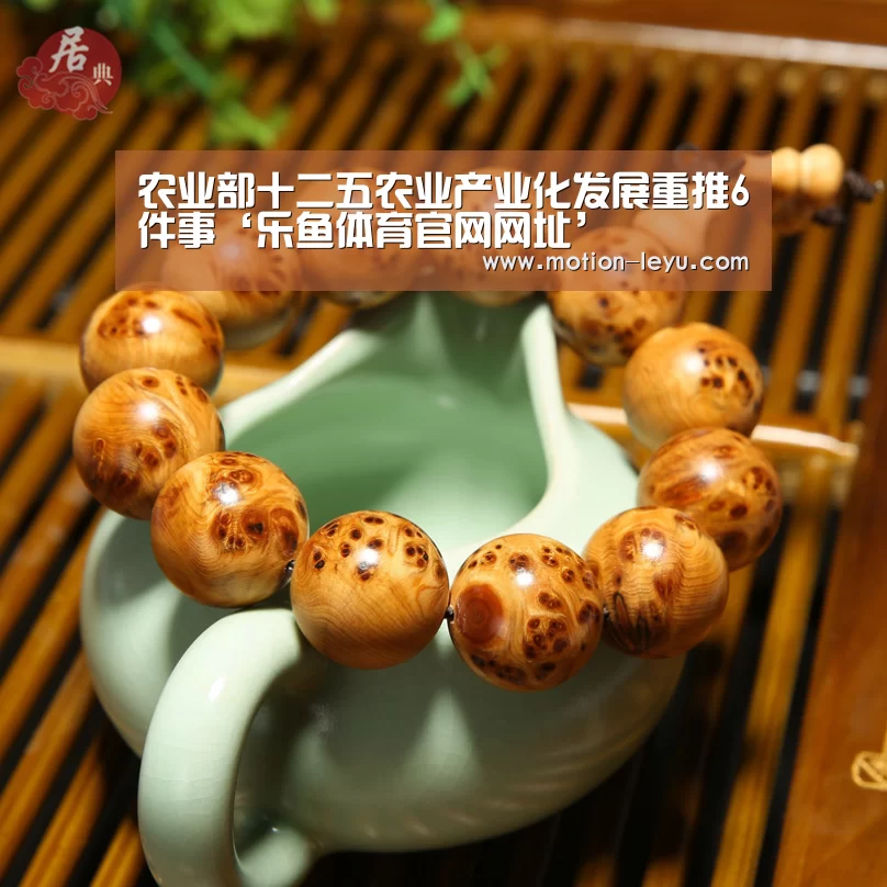 乐鱼体育官网网址